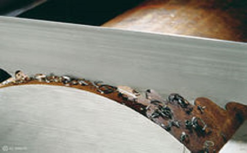 平顶山带锯床线速度设定过高，为什么会导致带锯条齿尖发热加速锯条的磨损？